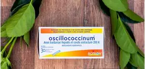 Imagem de OSCILLOCOCCINUM - 6 TB BOIRON