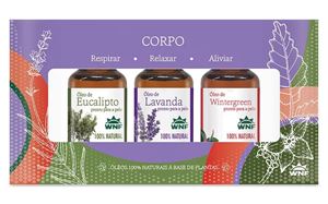 Imagem de BOX ÓLEOS PRONTOS - CORPO